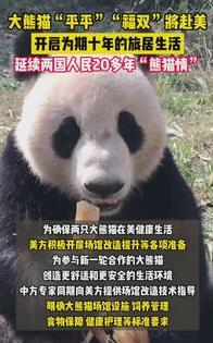 “摸黑启程！”9月27日天还没亮，成都双流机场搞了场不一般的“越洋欢送”——两只