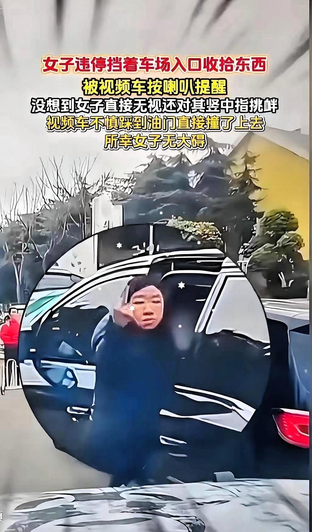 那个竖中指的女司机，真是凭实力演绎了什么叫“自毁式公关”。
​甚至都不需要后车按