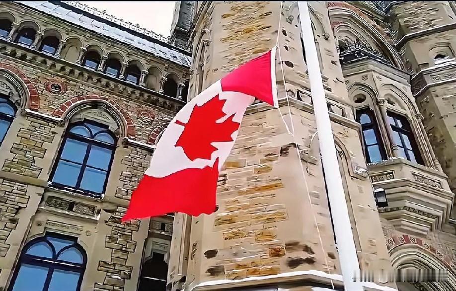 12月6日早上的最新消息，现在他来了，第八条：外交政策调整：加拿大移除叙利亚