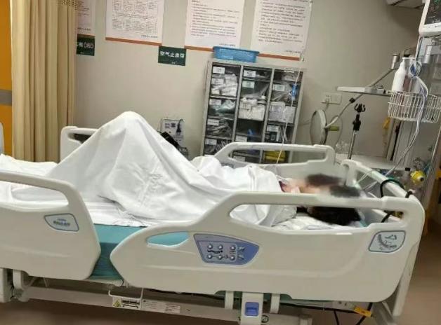 立案、开除、报警全没用！反虐猫志愿者被逼轻生：新型流水线网暴，正在击穿社会善意底
