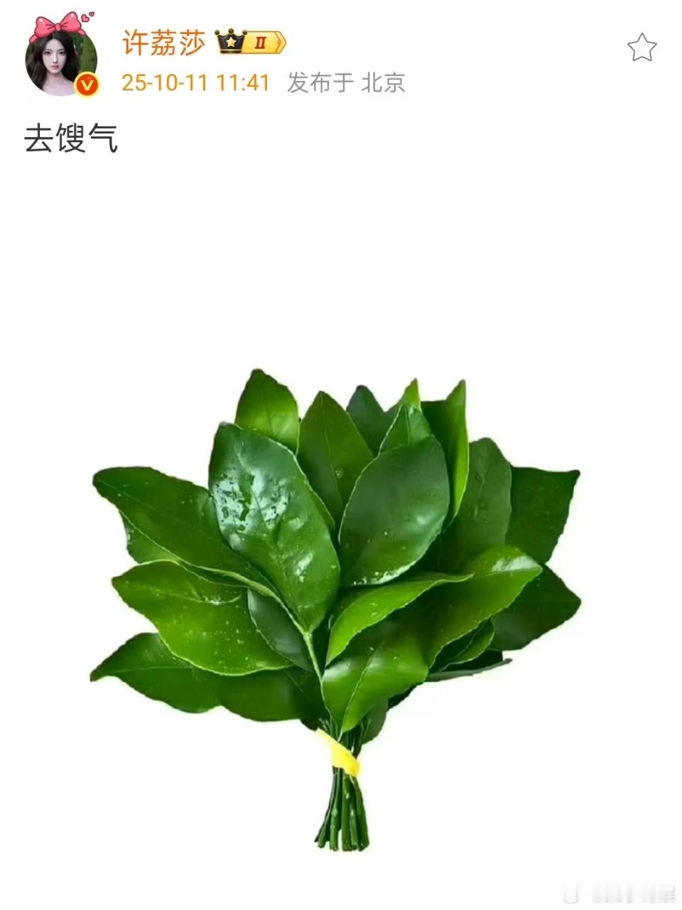 许荔莎发柚子叶去馊气许荔莎去馊气许荔莎去馊气，来了，[并不简单][并不简单] ​