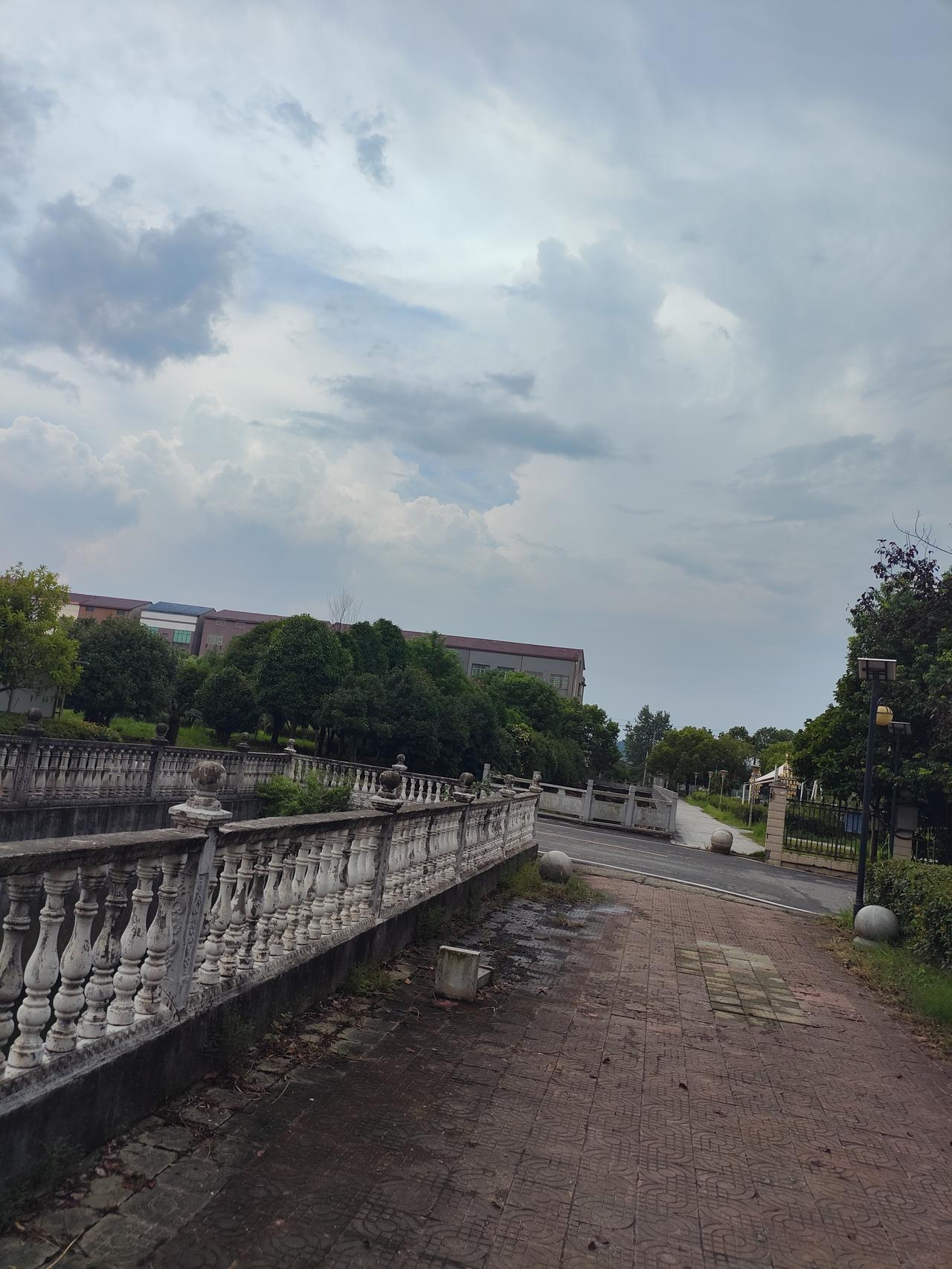 今天天气晴朗，尽管是伏天，但还是不怎么热。