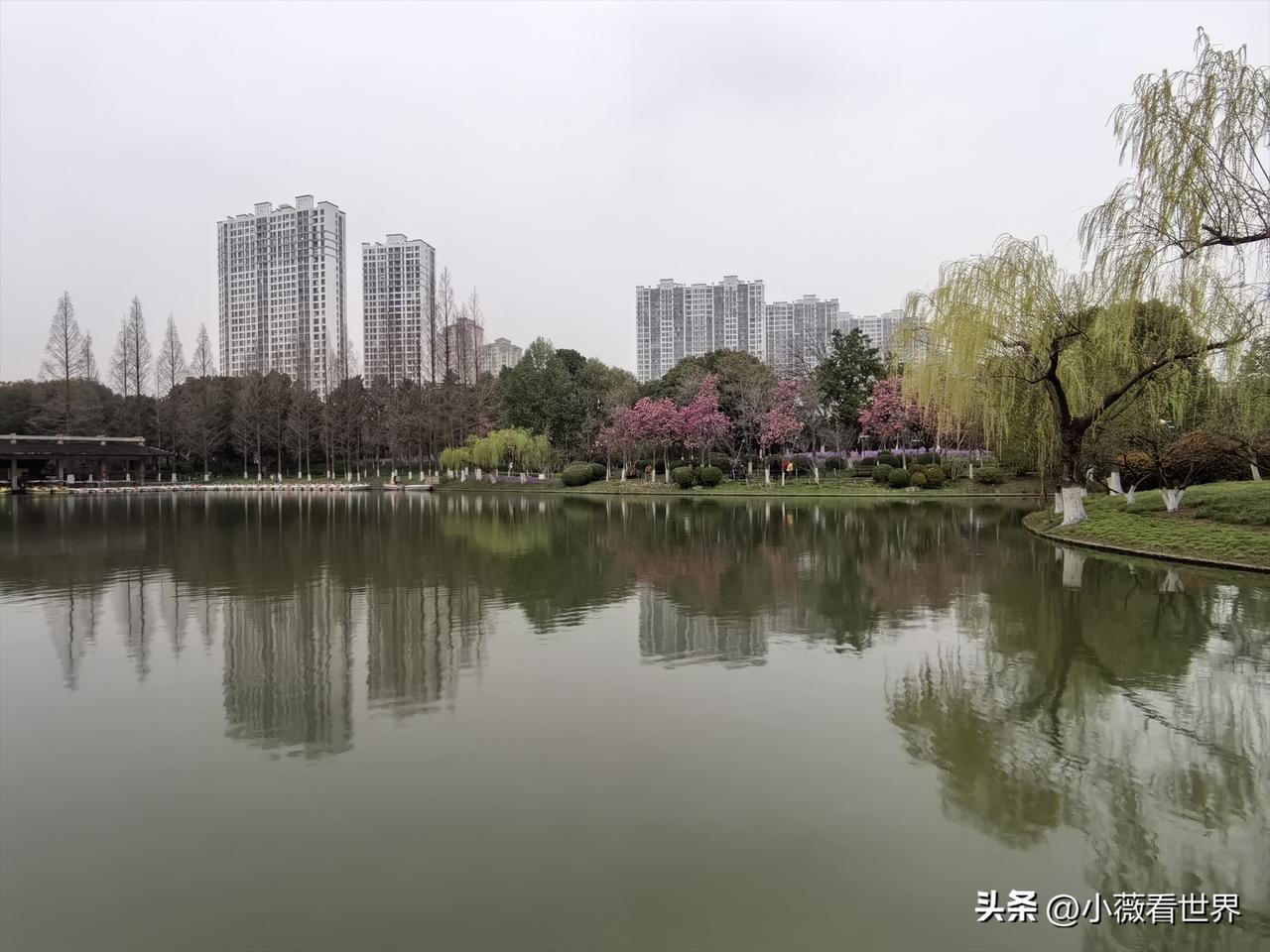 又被放了鸽子！发小芬芬打电话来。说被她同事菲菲再次放鸽子了！因为他们本来是约着今