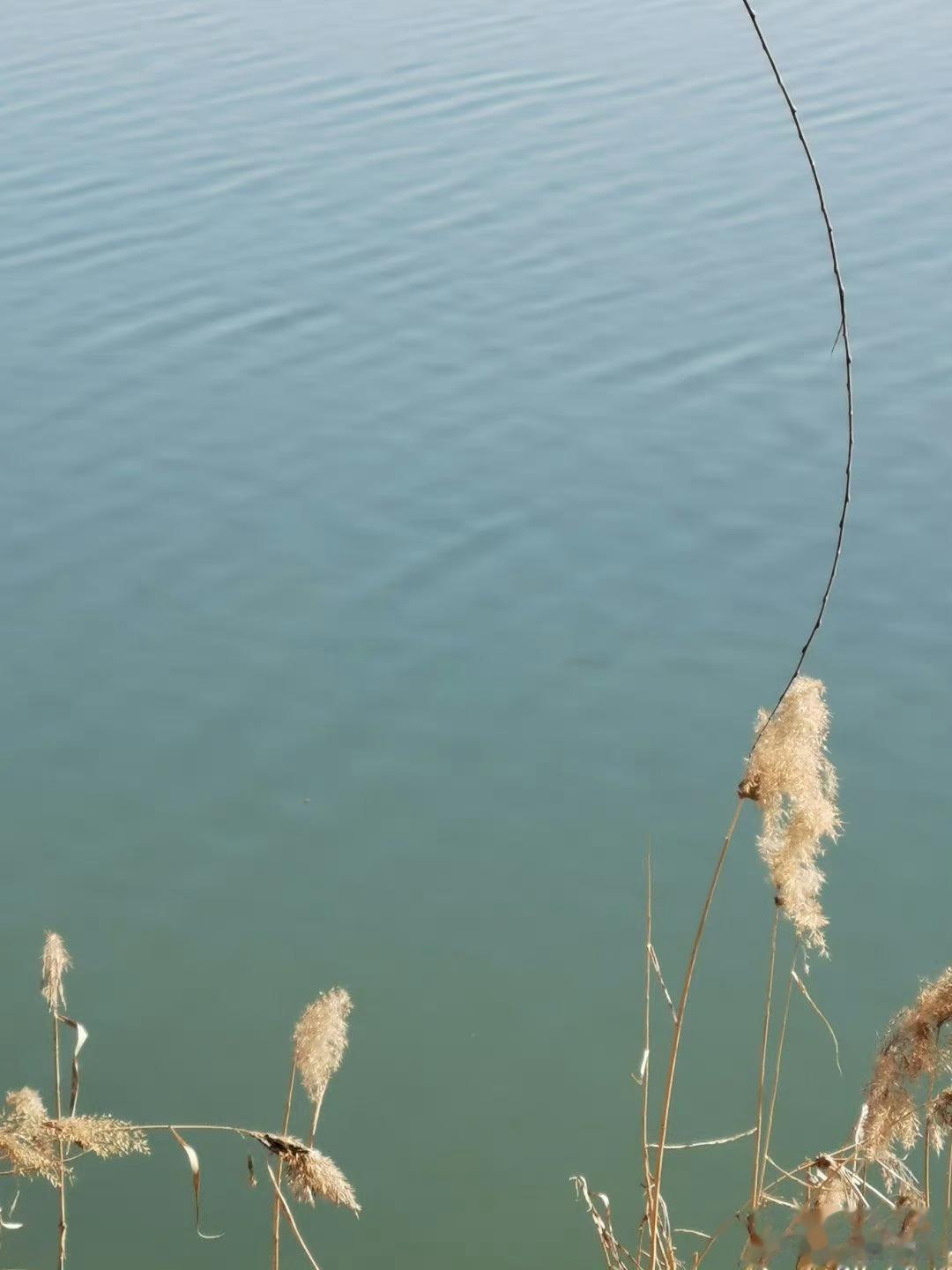 花开了，就像睡醒了似的。鸟飞了，就像在天上逛似的。虫子叫了，就像虫子在说话似的。