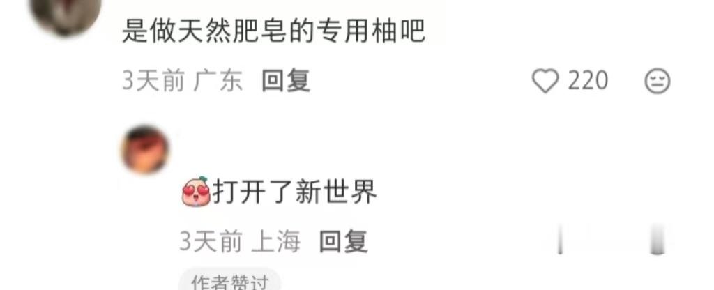 开到报仇柚子 