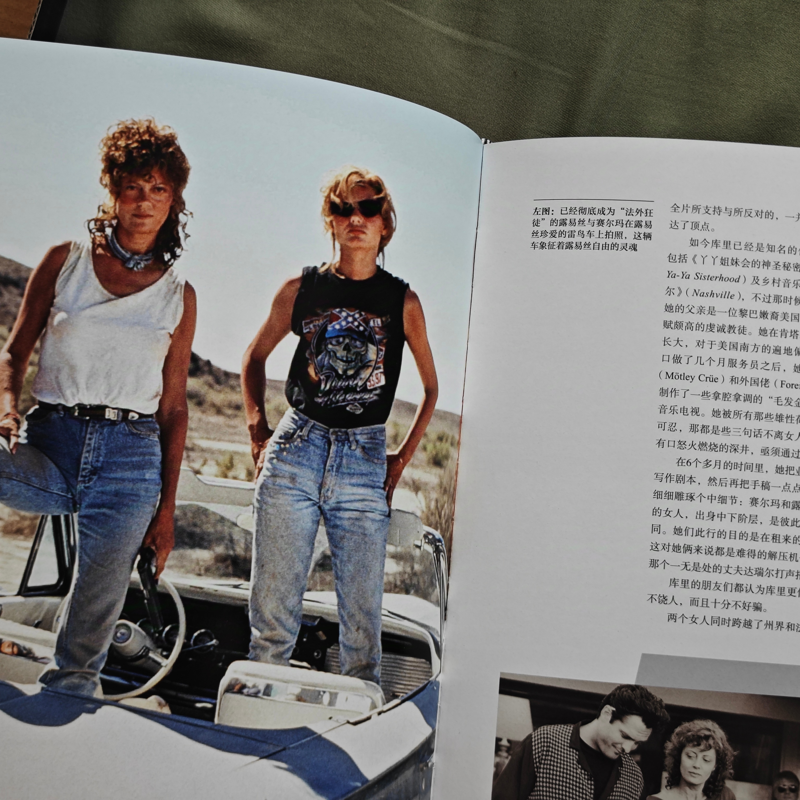 给大家抽一本精美大部头（转评里抽），物理意义上的大，内容层面上的大。《雷德利·斯