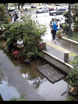 路边一幕，路人想要拿盆栽，脚下打滑险些摔倒，以为不会拿盆栽了，最后还是直接拿了就