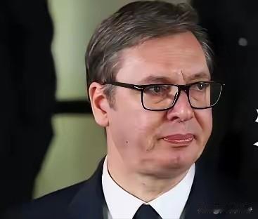 要说武契奇，那真是巴尔干半岛的顶级聪明人，妥妥的政坛老油条，心思通透得很。
 