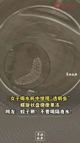 “太吓人了!”云南大理，一女子起床前喝了半杯隔夜水后，竟然惊奇地发现杯子里面有一