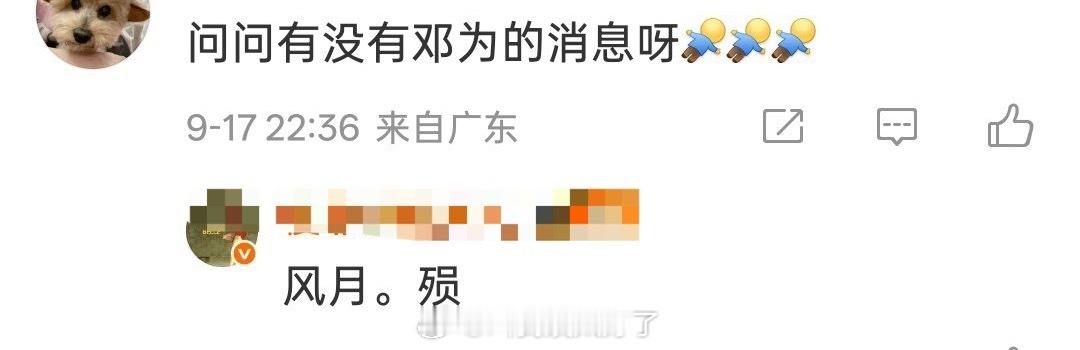 邓为和李宛妲的《风月不相关》过两天就不拍了？这部剧好像从一开始就有停拍的传闻…这