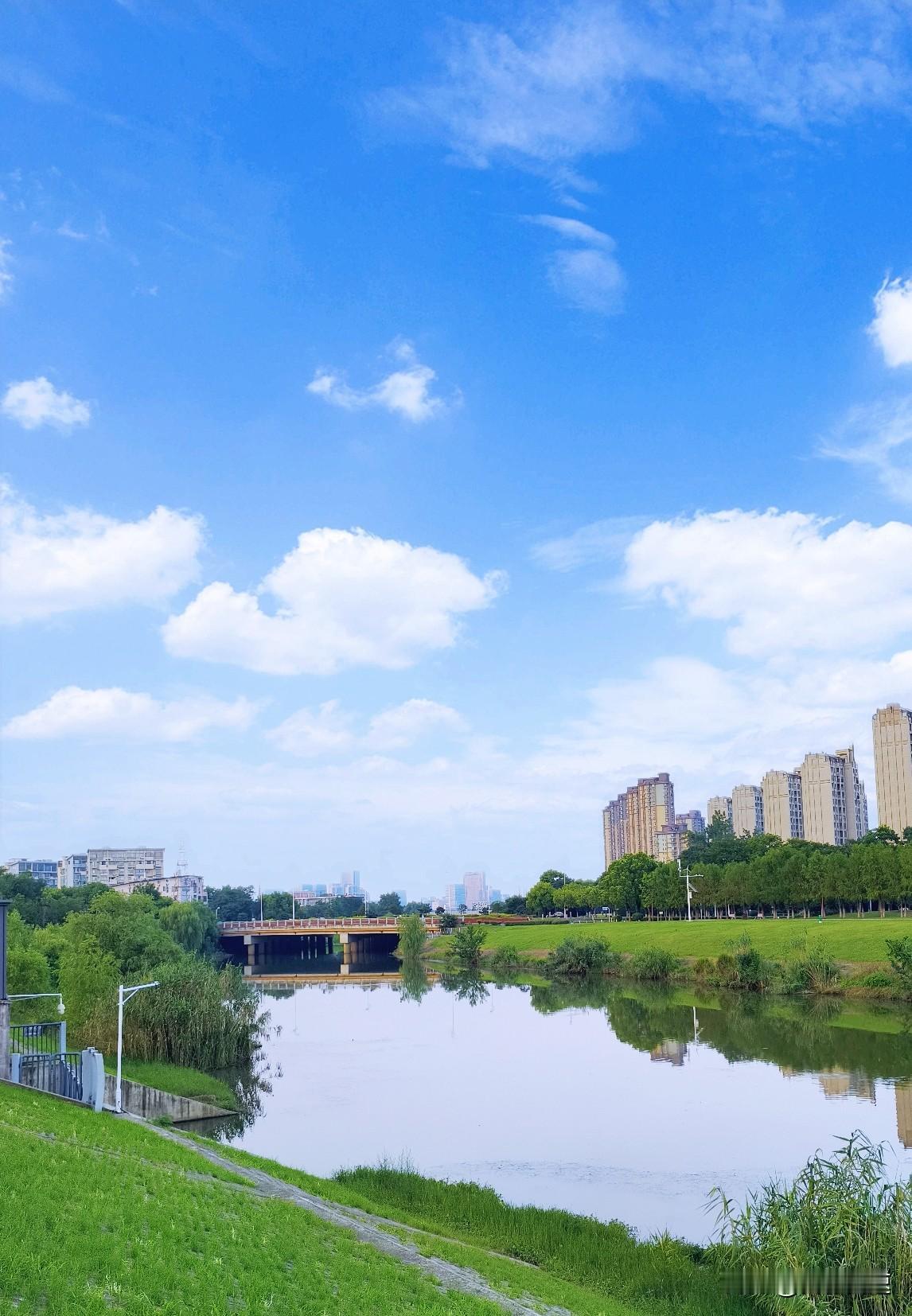 天气预报说南京今天有雨，我满心期待来场秋雨降降温，结果早上一看太阳都出来了，这天
