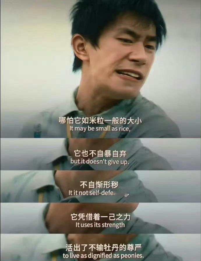 易烊千玺收到现实里的刘春和的祝贺这份来自现实的祝贺，是对整部作品最高的肯定。表演