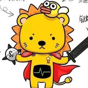 西安高级网工小狮子