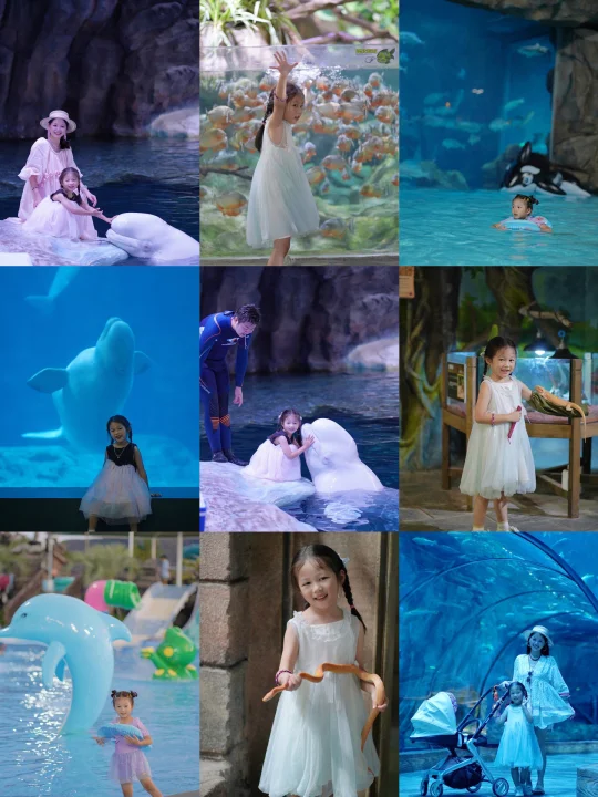 舟山长乔｜海洋雨林水世界2天1夜畅玩全攻略