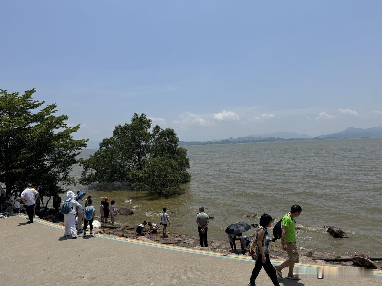 摔碎膝盖骨后，快两个月没出门了，
决定去深圳玩一下，
推门而出时，有点小激动，又