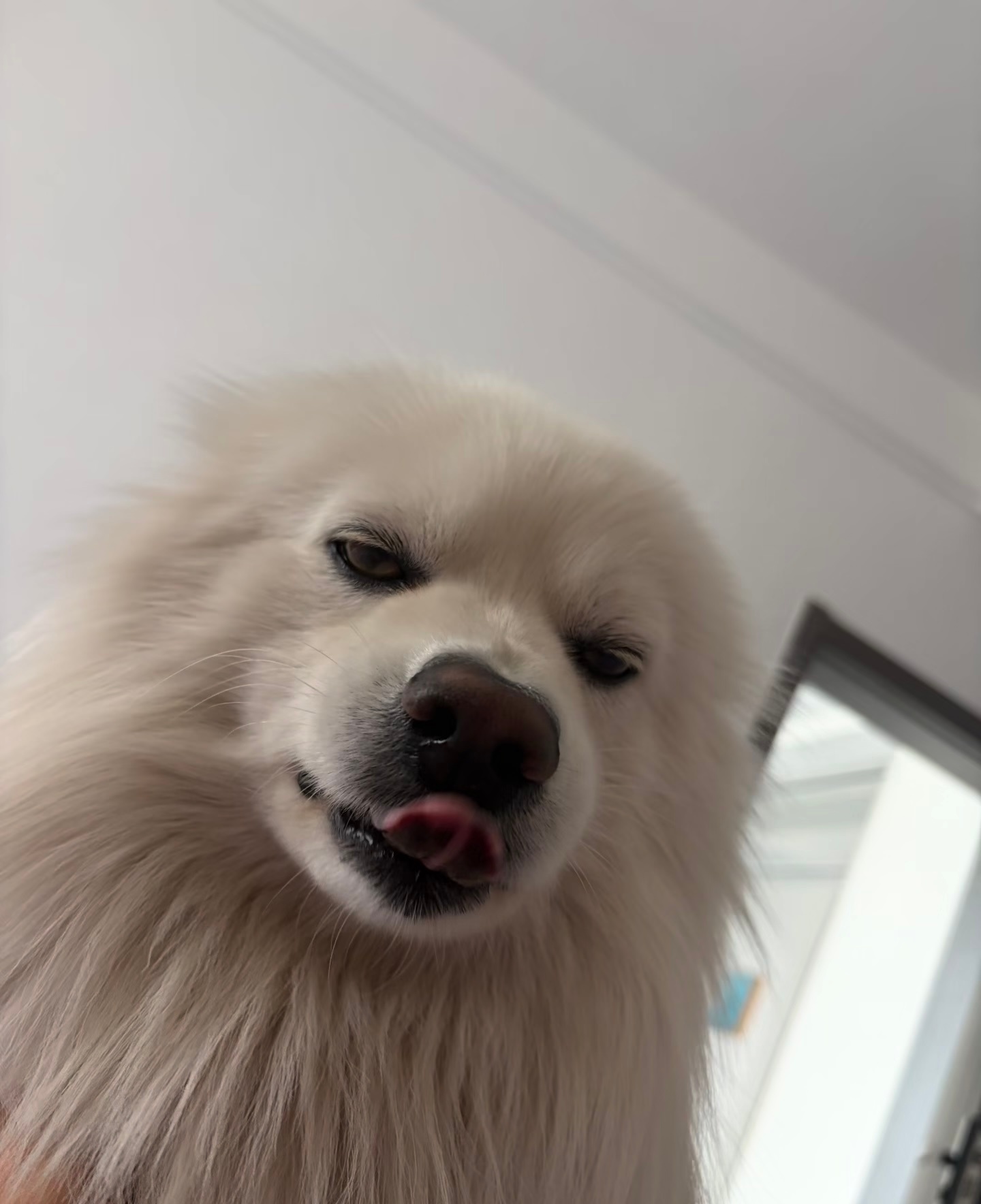 讲个鬼故事，假期结束了 