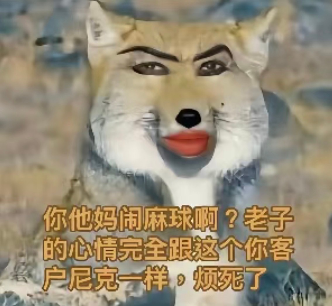 分享图片 ​​​