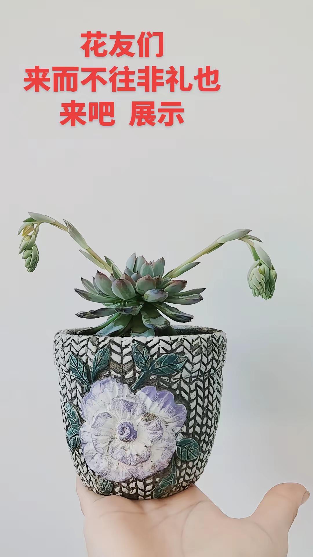 这造型没谁啦😅