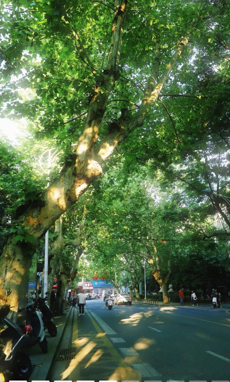 随手拿起手机，定格夏天独有的氛围感，不用滤镜，原图就足够治愈。
 
傍晚江边的落