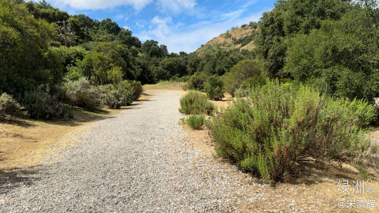 总在记忆里  （1601）：生在河南，长在深圳，埋在河南；我的儿子，一生坦荡，超