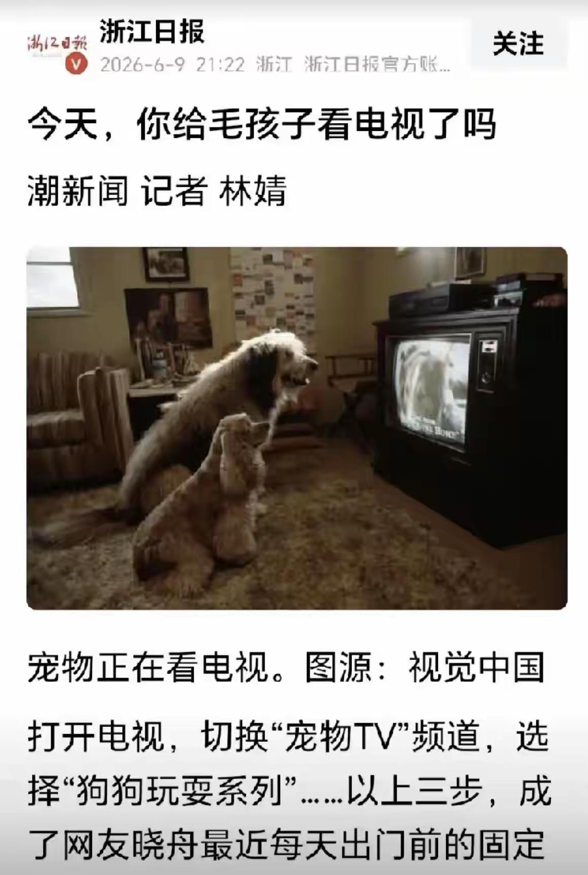 畜生就是畜生，而有些人可以不是人，个人爱好，绝不能变成媒体立场，原则问题不能让步