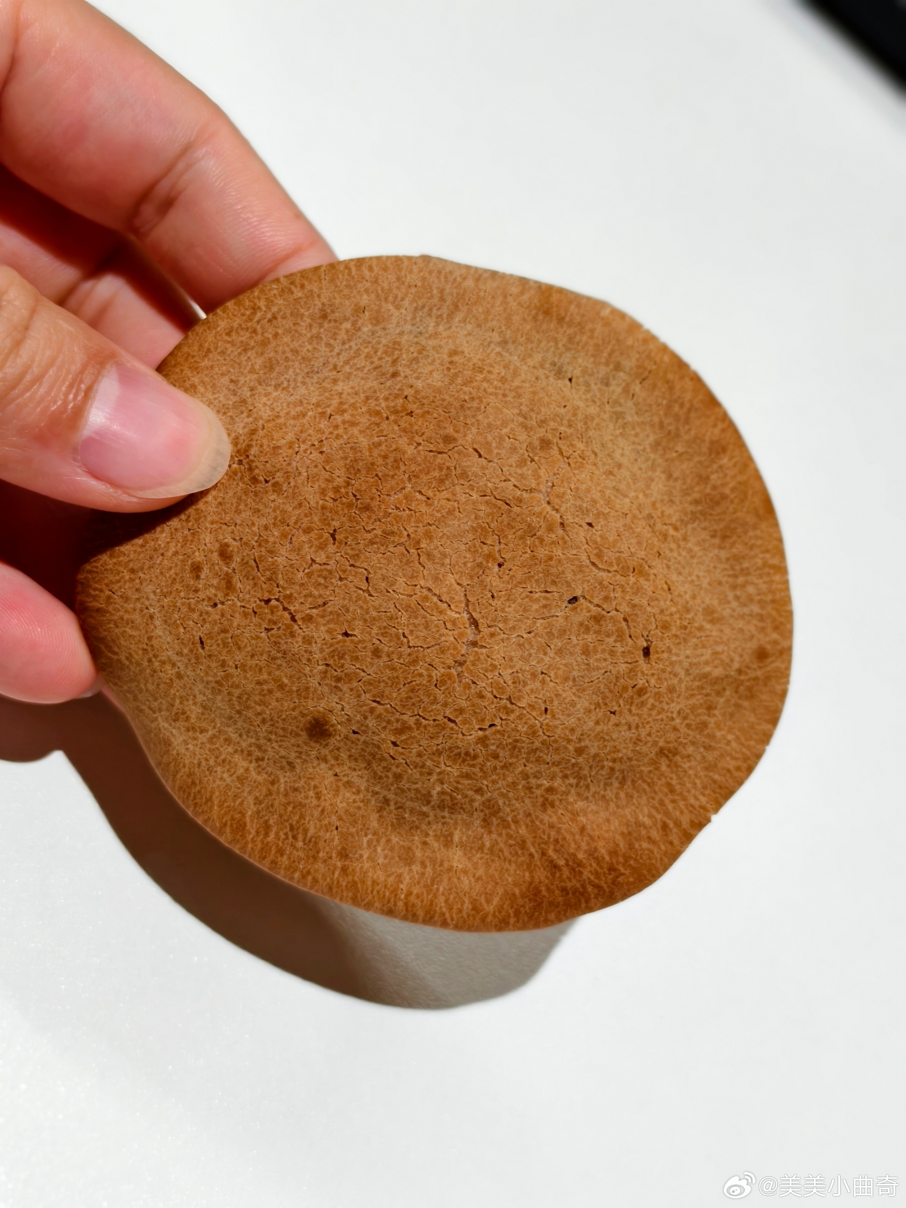 咖啡师拿过来给我们品尝的新品吃起来是好吃的看起来像香菇像粉扑可惜它是麻薯这没啥卖