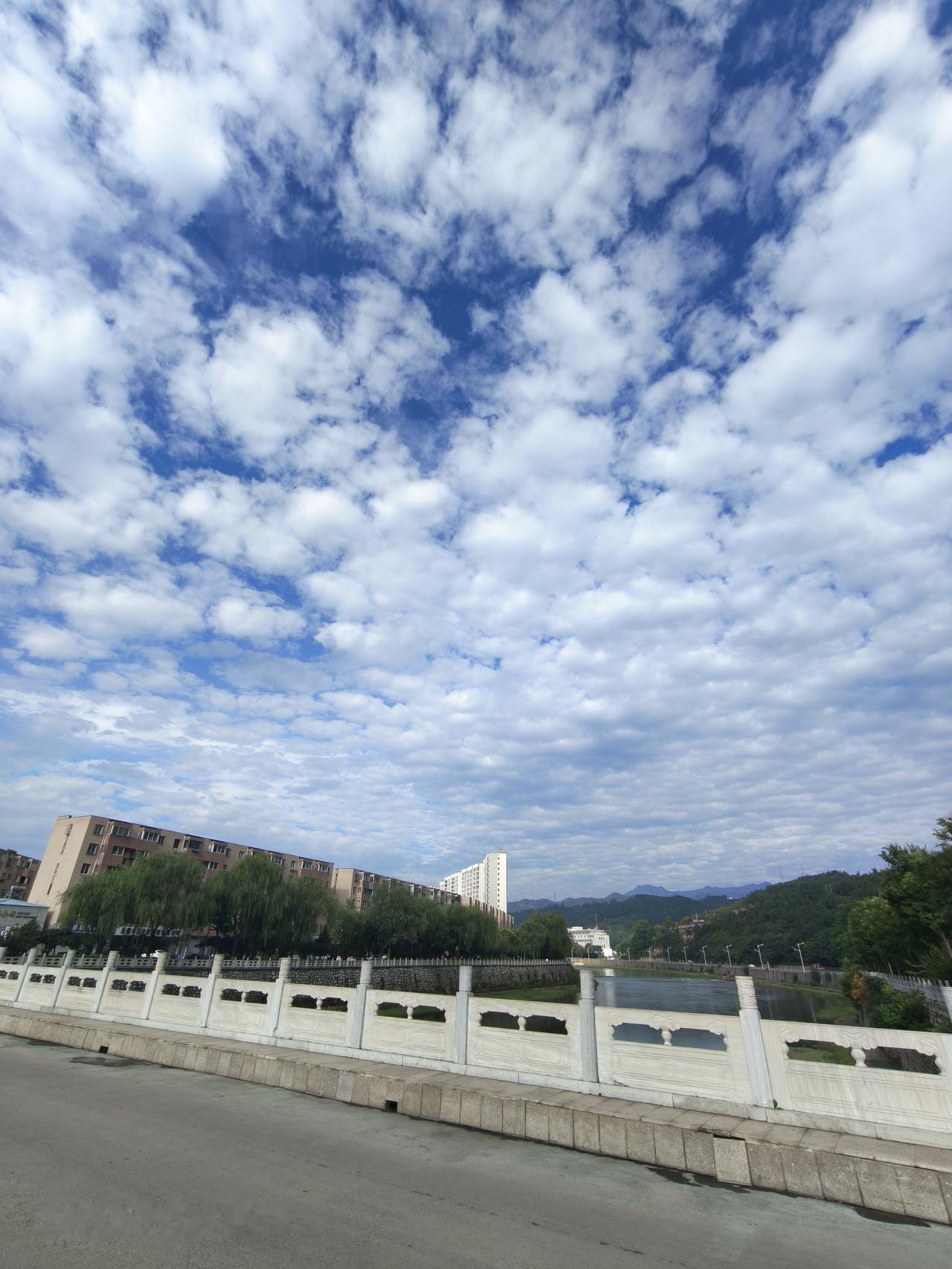 秋日生活打卡季 秋日生活打卡季
今天的午后，天是透亮的蓝宝石色，像把高原的湖泊整