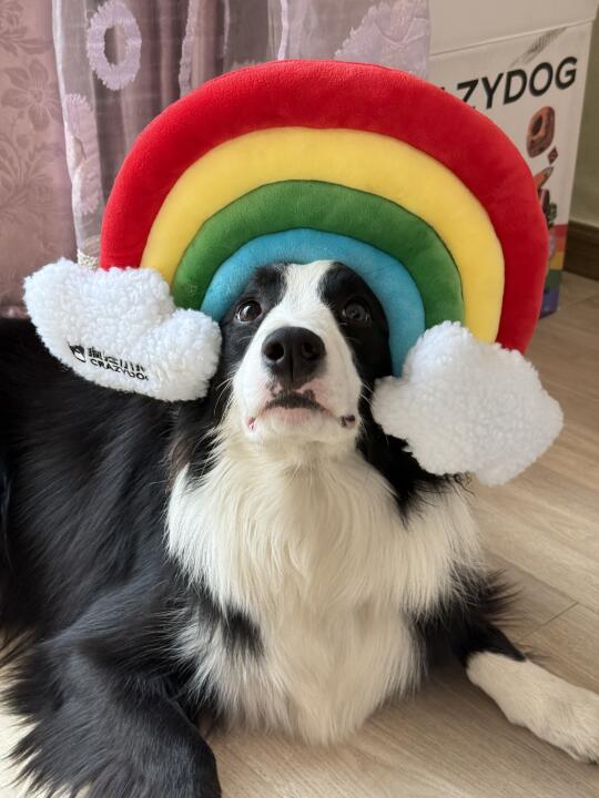 🌈爱上彩虹 吃定彩虹！