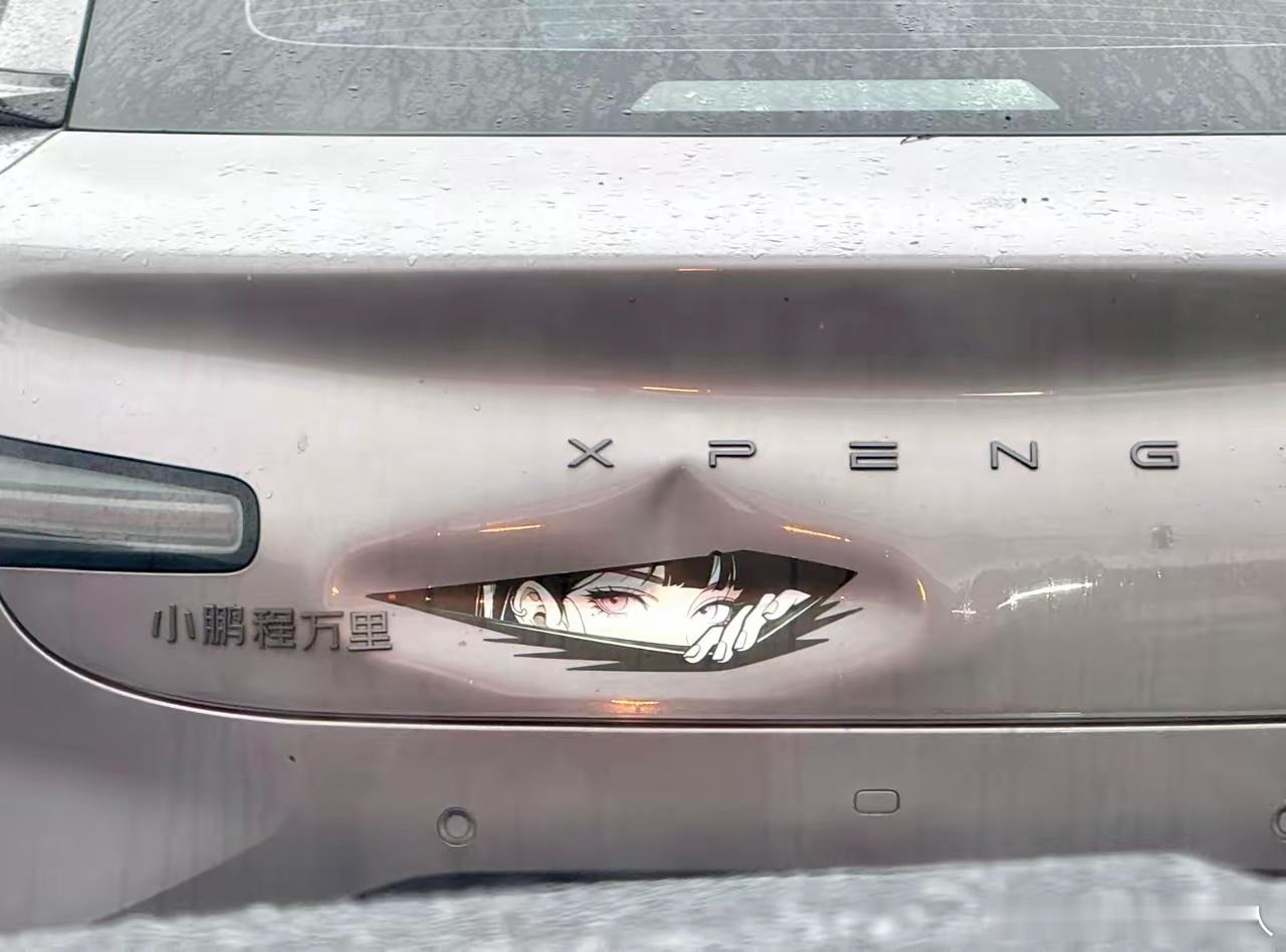 这个车尾贴贴合又耐看，完美融入车身，还顺带省了笔修车钱。 