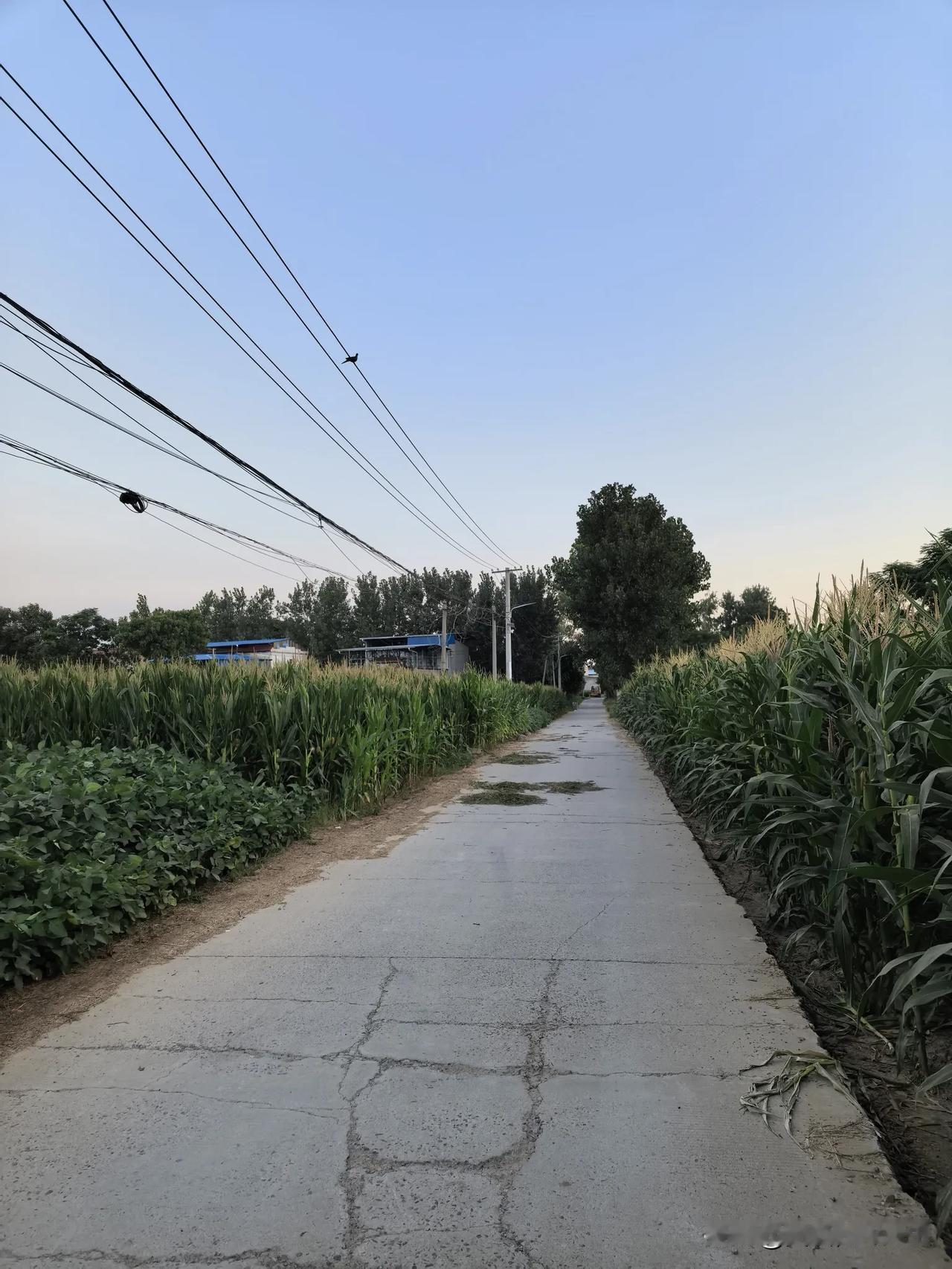凡是车屁股比保险杠更突出的，都是厂家为了割韭菜！他们卖车只是挣点小钱，修车才挣大