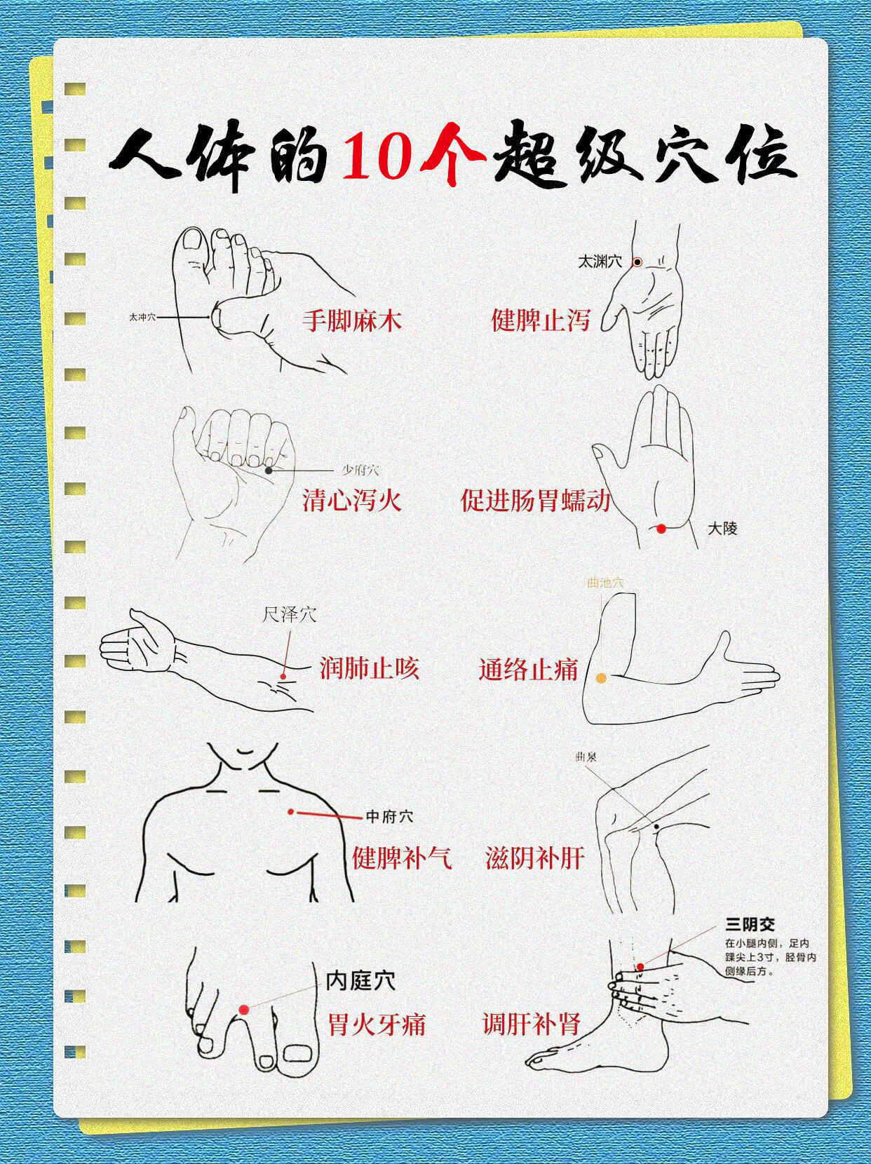 💡人体 10 个宝藏穴位，日常养护超实用！分享几个能帮我们日常调理身体的穴位，