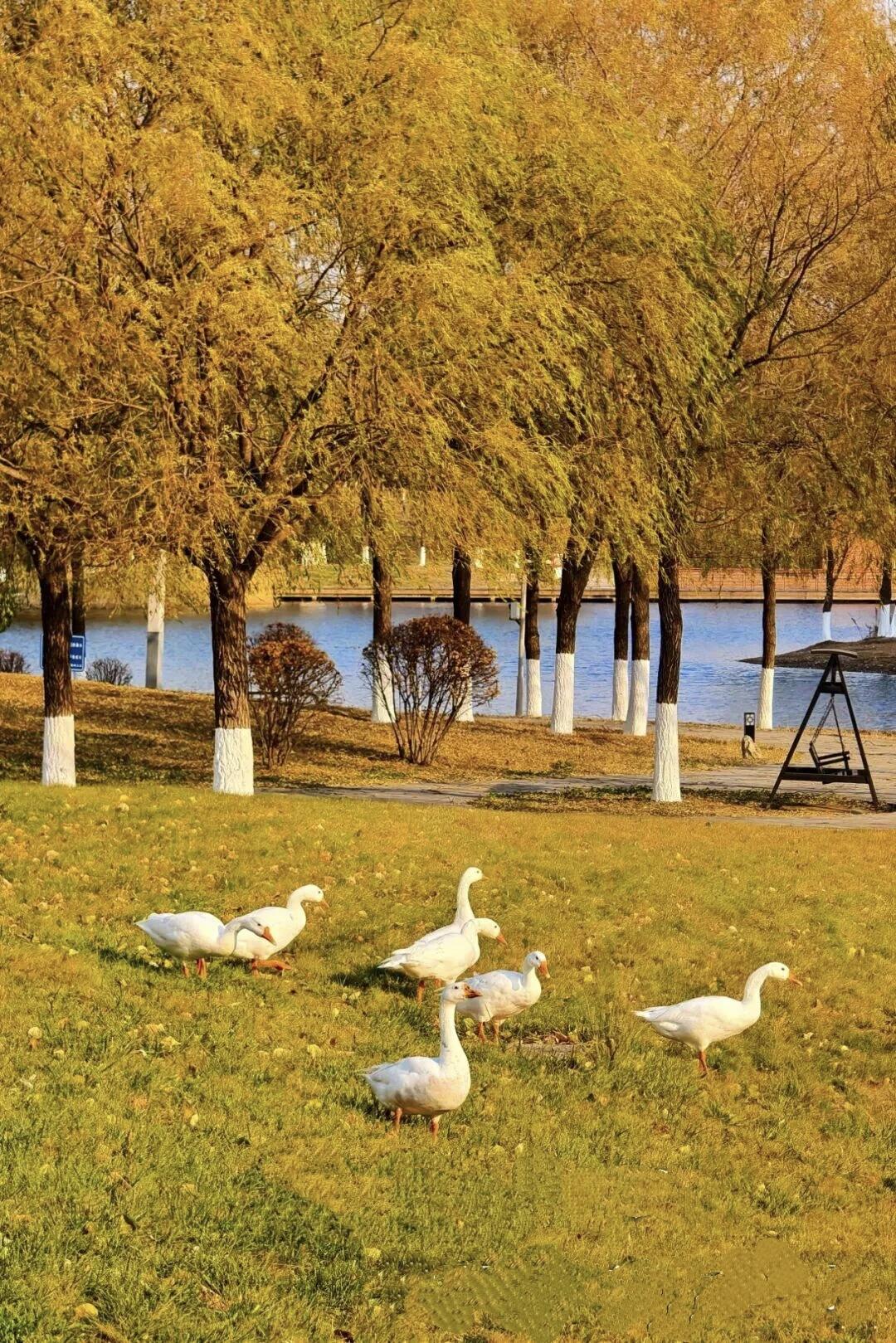 【用心甘情愿的态度，去过随遇而安的生活】
        人生三万来天，天天都可