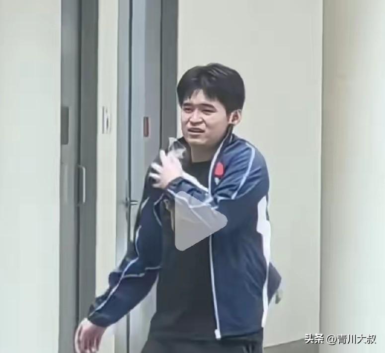 反手体系球员，更容易受伤？
林诗栋是反手体系，
张继科是反手体系，
王曼昱是反手