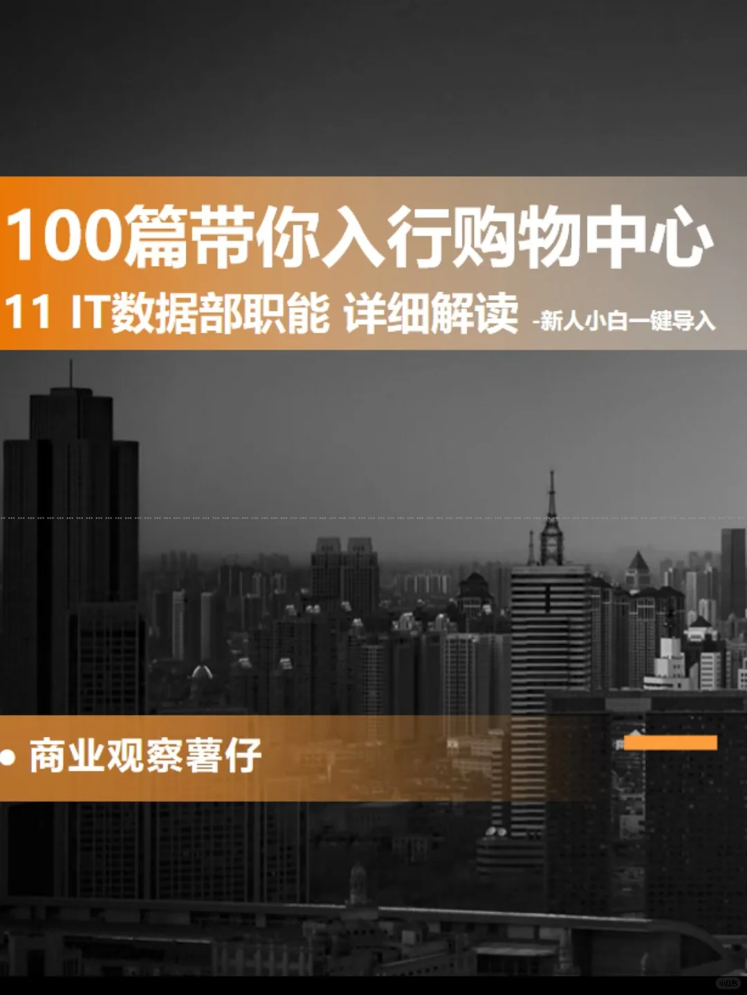 100篇带你入行购物中心 | 11 IT数据部详解