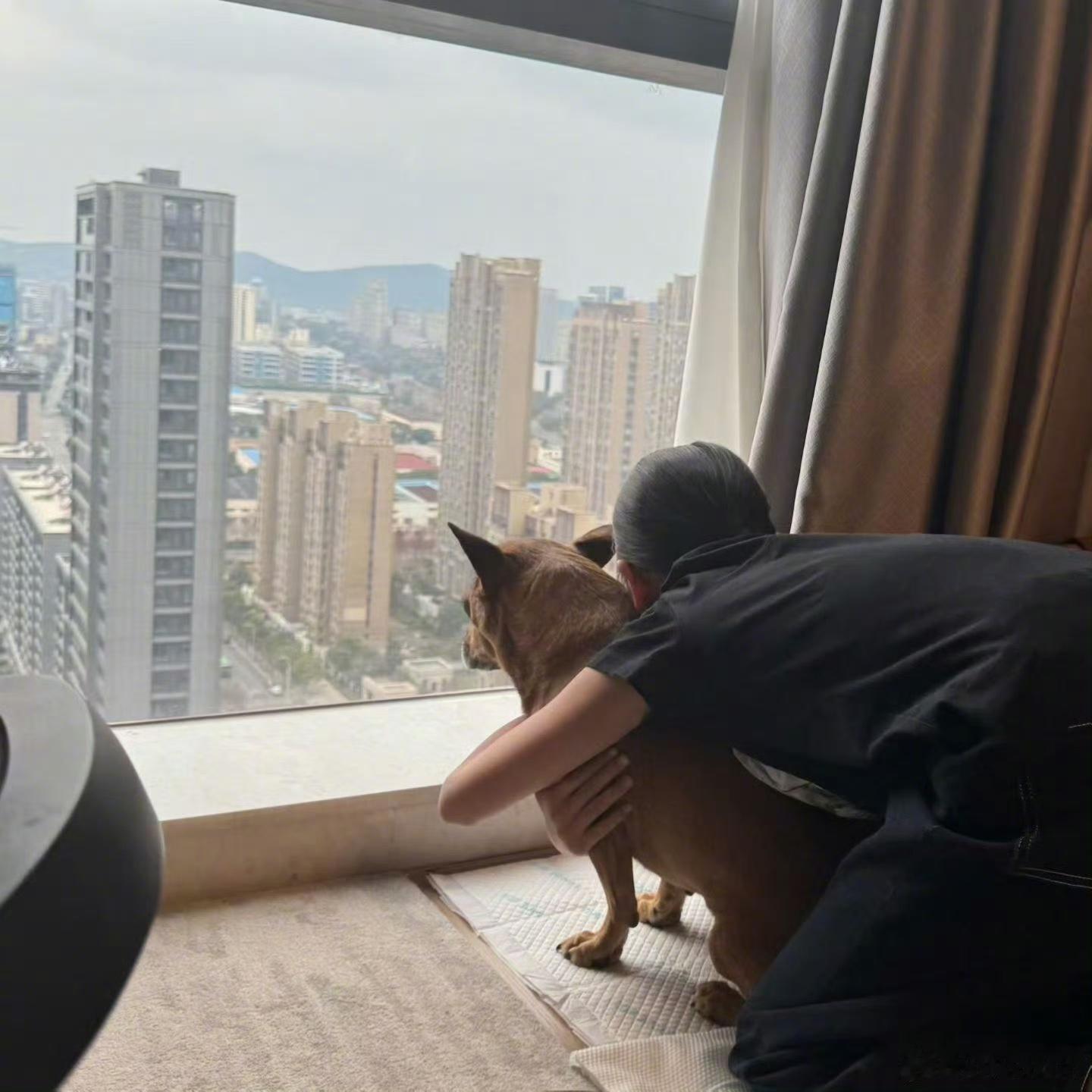 比邓超更搞笑的是邓超的狗被宠的小狗就是快快乐乐的，土豆这也太可爱了，吃吃喝喝，蹦