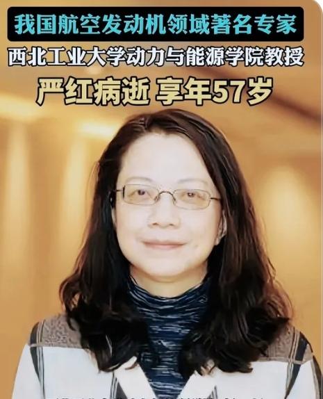 真的破防了！西工大57岁博导严红，放弃美国终身教职回国死磕发动机，攻克高超音速飞
