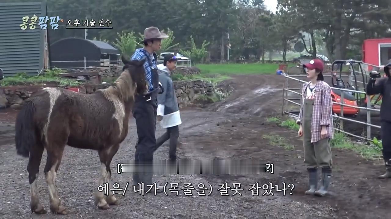 笑死我了，叡恩抓着马的缰绳结果那匹马真脱了缰绳，飞快地往原来的地方跑。𠮏恩问是