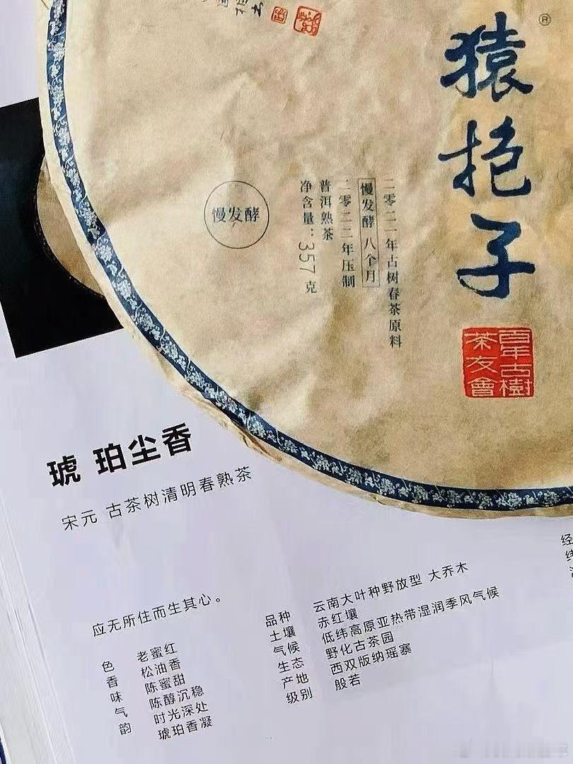 早安 猿抱子® 