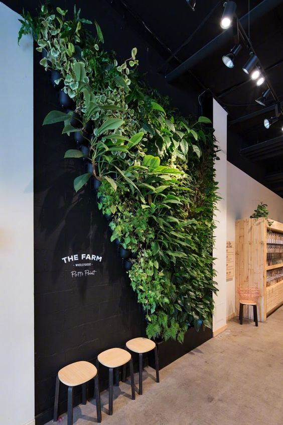 植物墙设计 