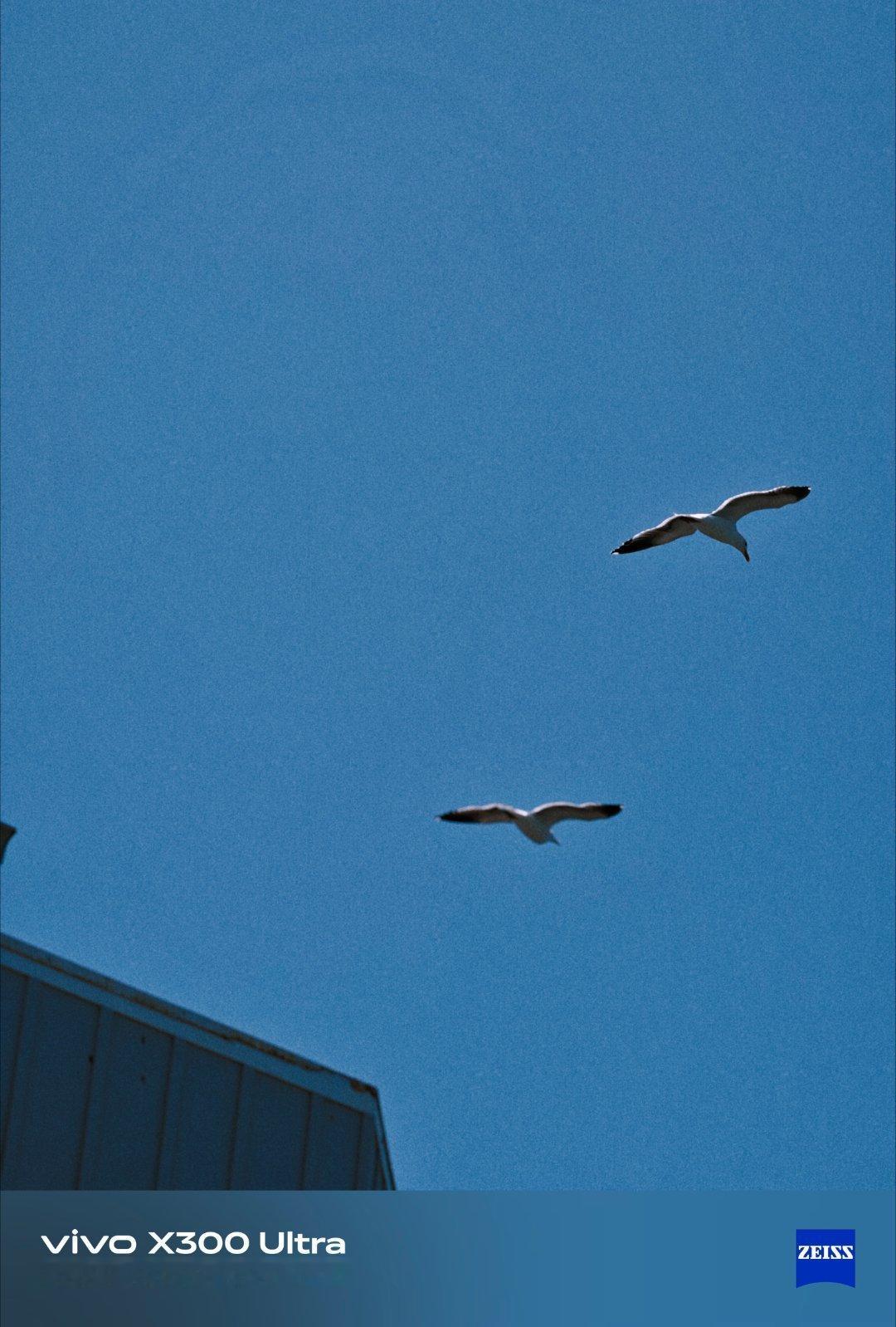 每次出门都忘记带增距镜，但每次 X300 Ultra 的表现都不曾让我后悔