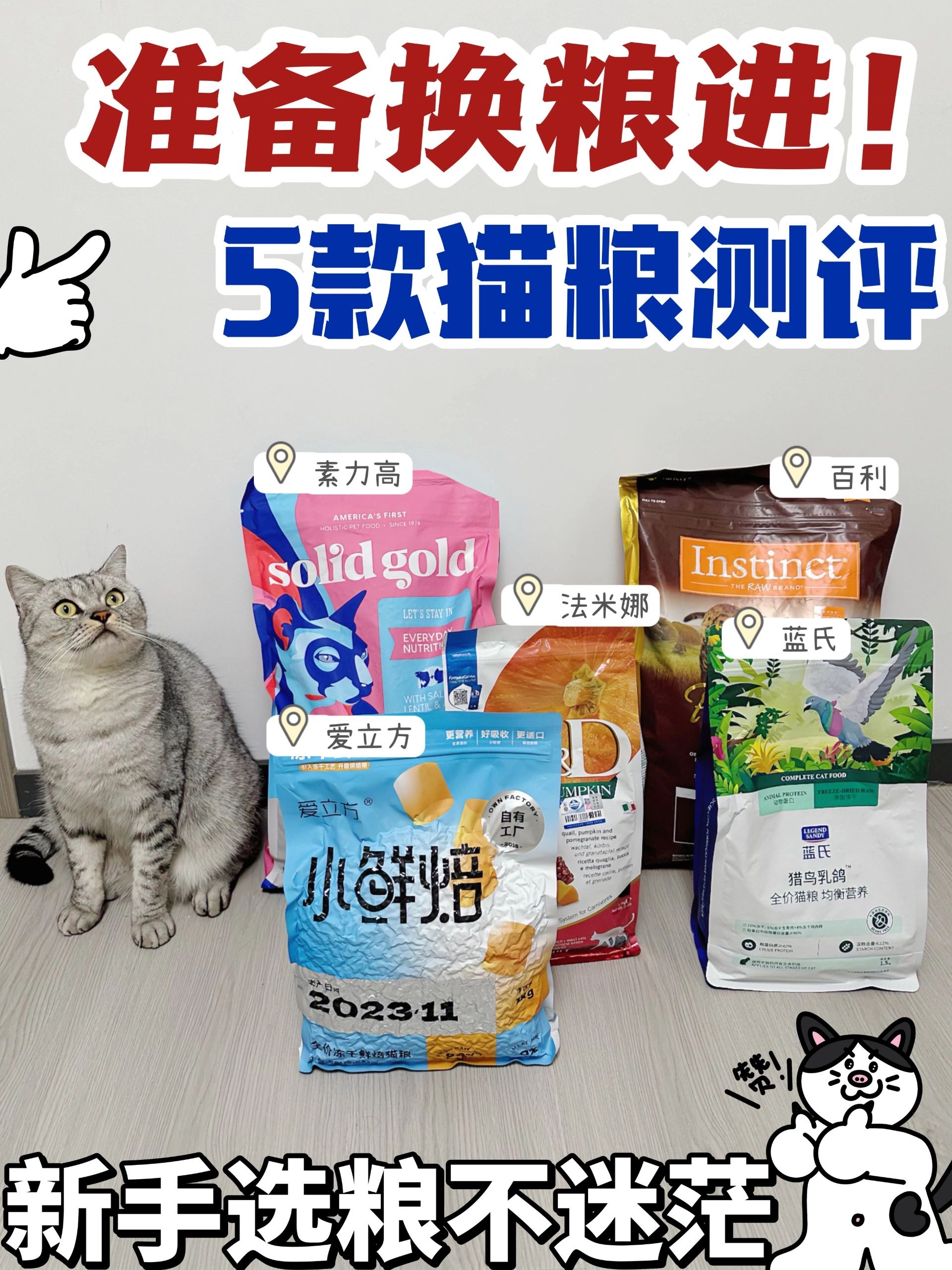 猫粮大测评🌈选粮科代表上线～