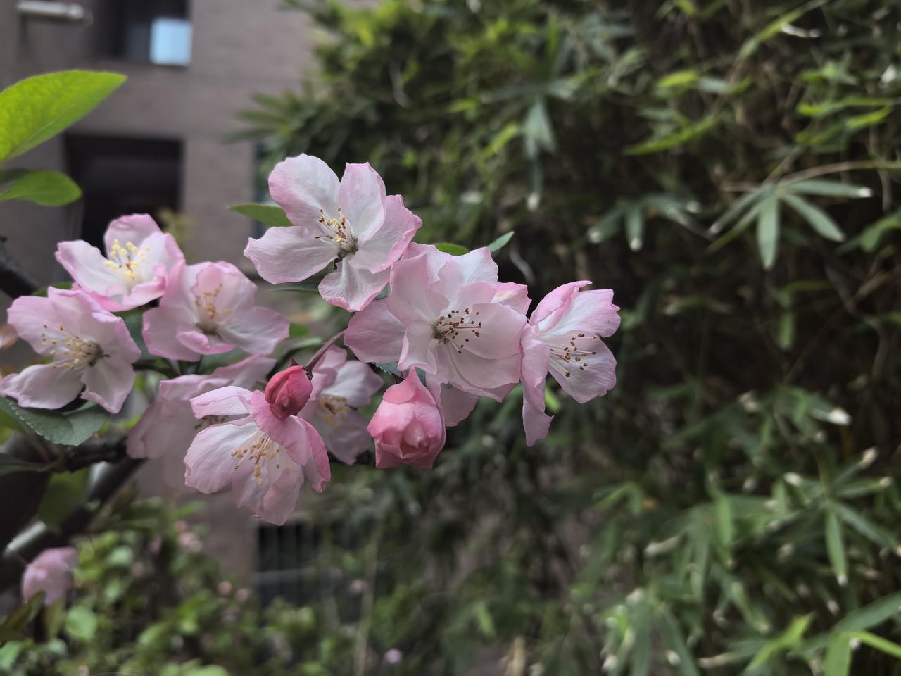 【热评】这种行为也是危险驾驶
5人并排骑摩托堵住整条路

5人并排骑摩托恶意堵路