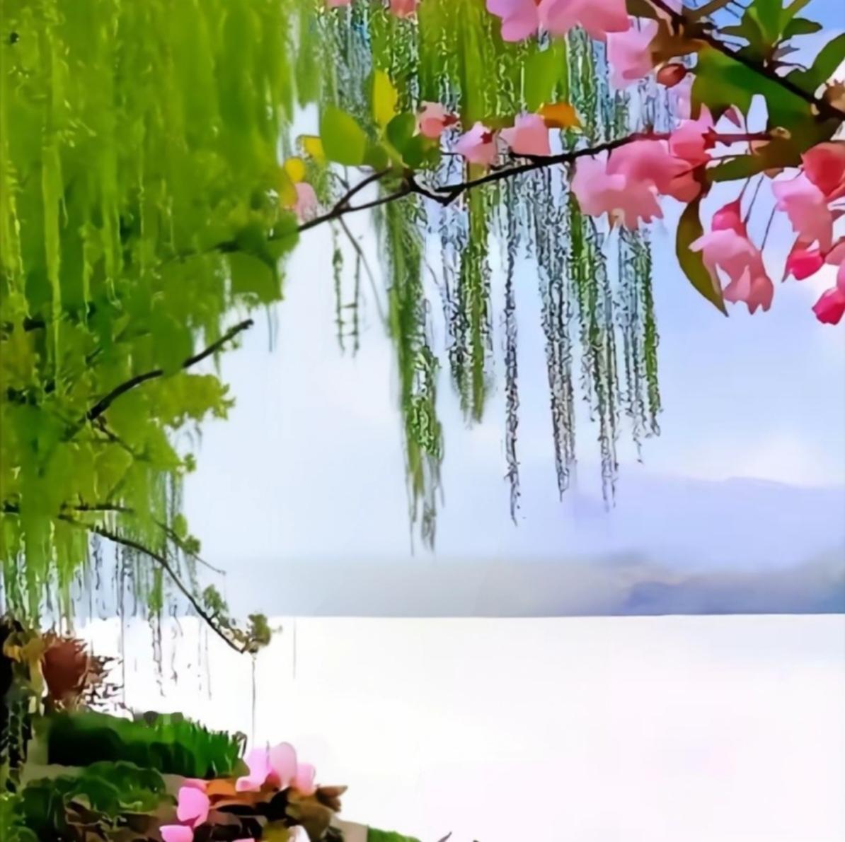 观景：桃柳暖春
看图说话：
柳弄柔丝桃绽芳，
湖面涟漪映韶光。
风送清香春韵满，