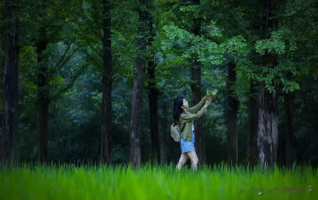 你们有没有发现，生活中那些总是笑眯眯的、爱吃亏的人，他们往往都混得还不错。其实，