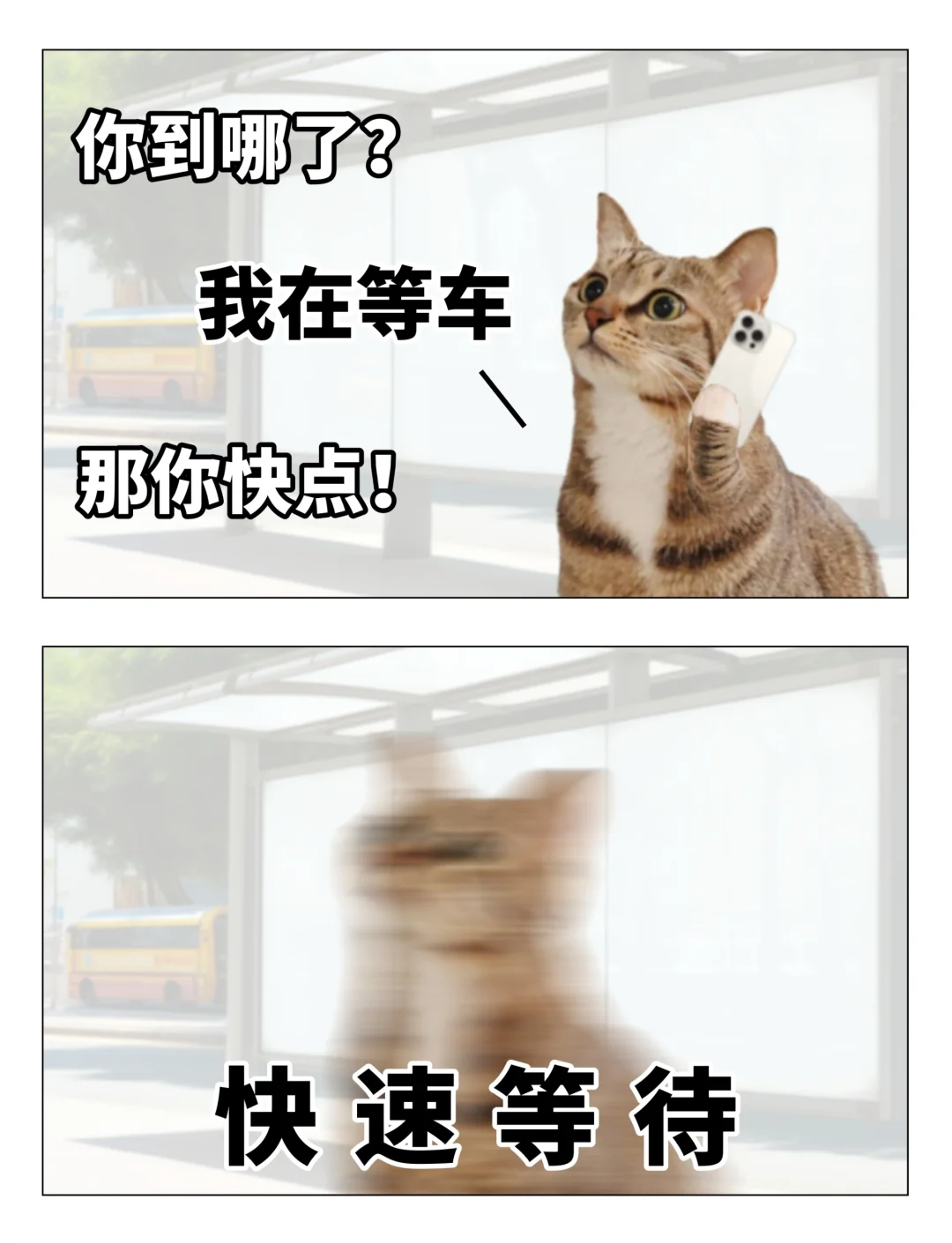 根本难不到我！