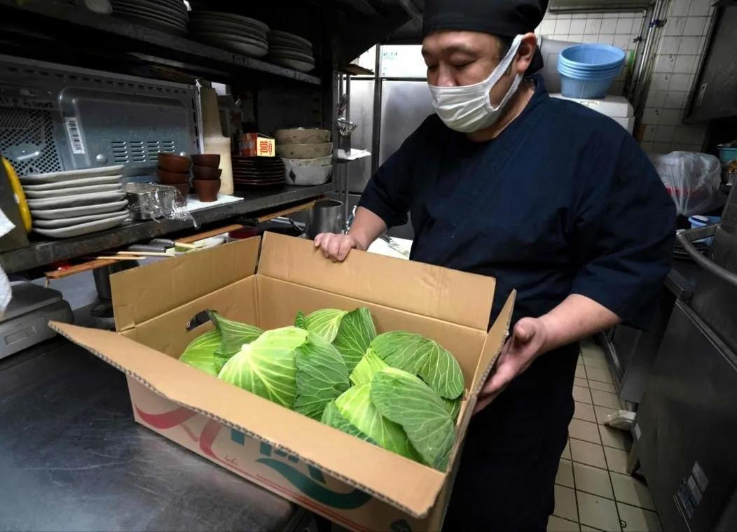 当前，日本卷心菜的价格已经涨到几乎跟猪肉一样的水平。对此现象，一位日本主厨品川说