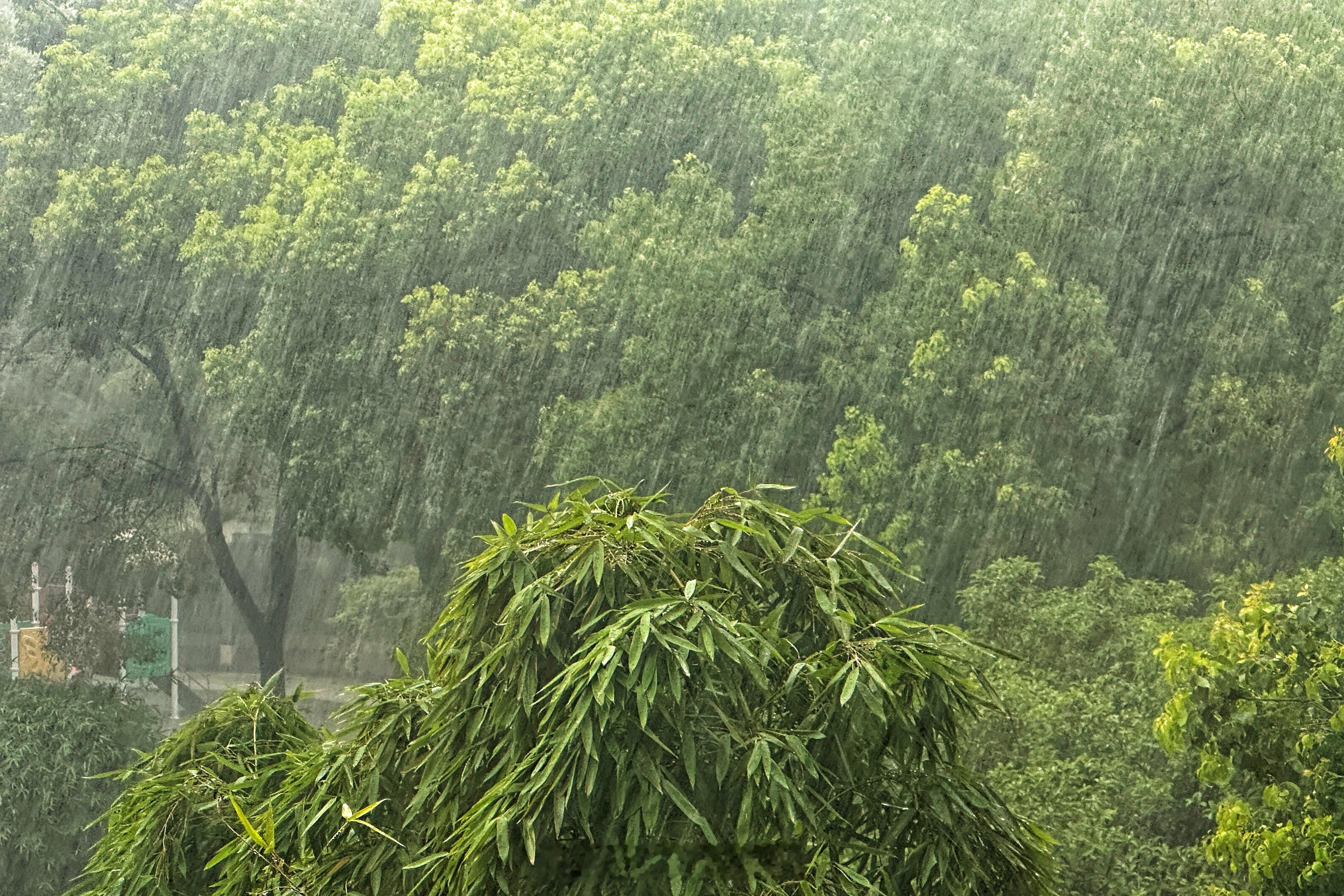 本想下暴雨今天歇一天的，然后就放晴了。那就跑吧…这尼玛下的是开水吧[允悲]  ​