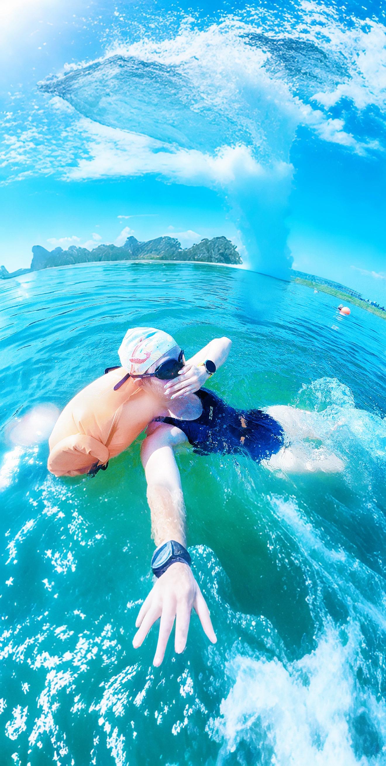 他们想把我埋没 却没想到我是颗种子