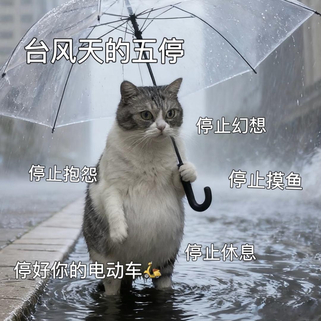 台风位置不停刷新台风位置打发雨天，足不出户宅家追剧，嘴巴闲不住，满脑子惦记香辣解
