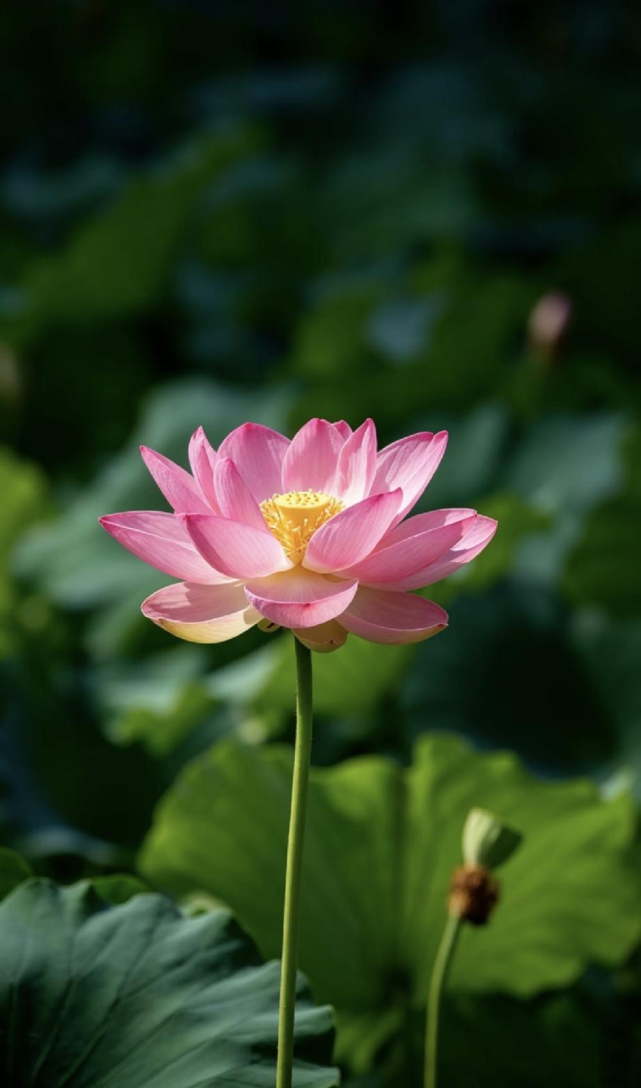 李嘉诚告诫：人穷时，不求三人；人富时，不帮三友；人老时，不靠三亲！短短一句话，道